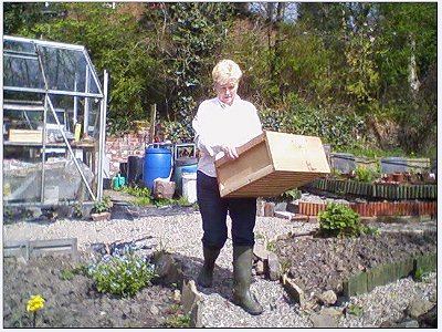 Susan starts to bring down the sections of the first hive.