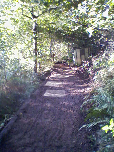 Stone flags are laid to act as support for the hives.