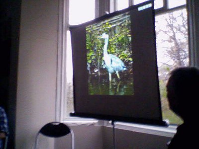 Power point view of the Heron.