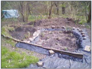 Liner and stones are added.