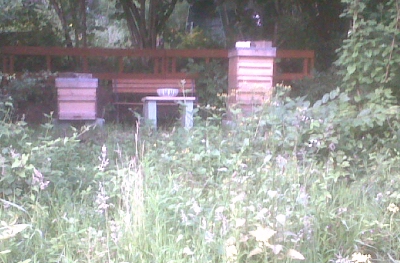The fencing in situ.