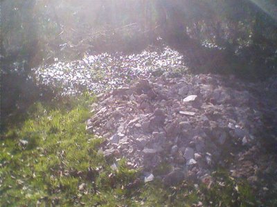Work on the formal garden has started by taking rubble from the kitchen refurbishment to level the space [25/03/12].