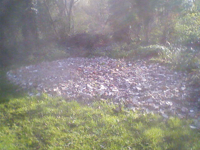 Debris from the old kitchen used to fill the hole.[22/04/12].