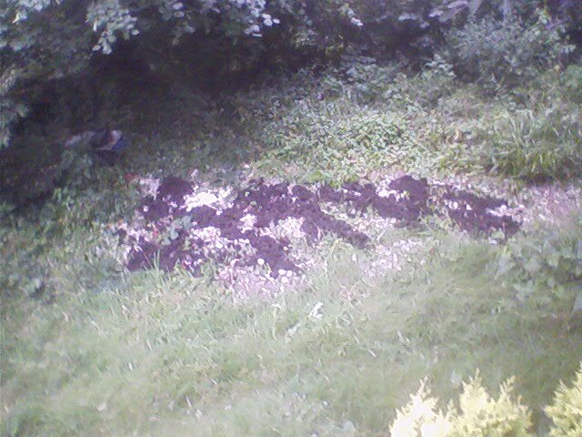 Earth tipped on top of the debris.