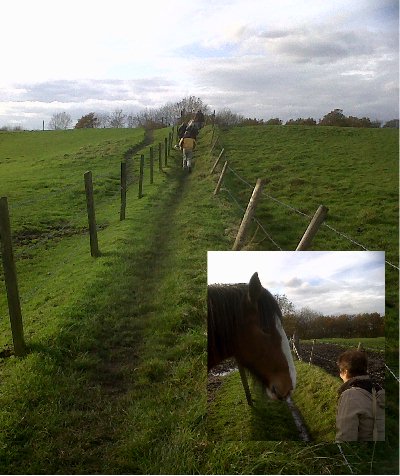 MTVCA members walk across the public right of way toward Boodle wood.Anne Dawson says hello to a shire horse (inset).