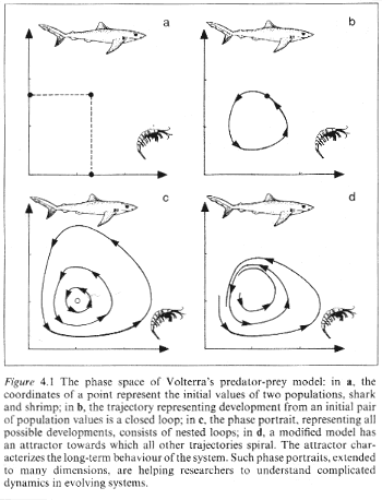 Click for more on Predator-Prey models