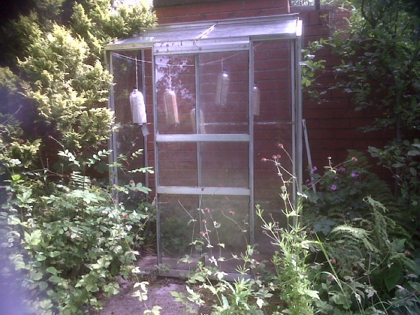 The Hotels in situ in the small greenhouse