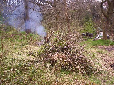 Some of the excess brambles cleared as part of Workday 18/4/10 showing the beehives in the background.