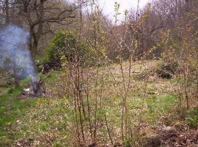 Most of the rubbish is burnt.