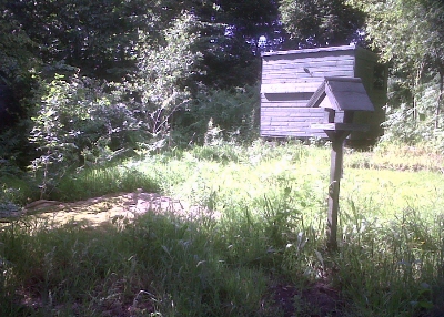 View showing the birdfeeder and hide.