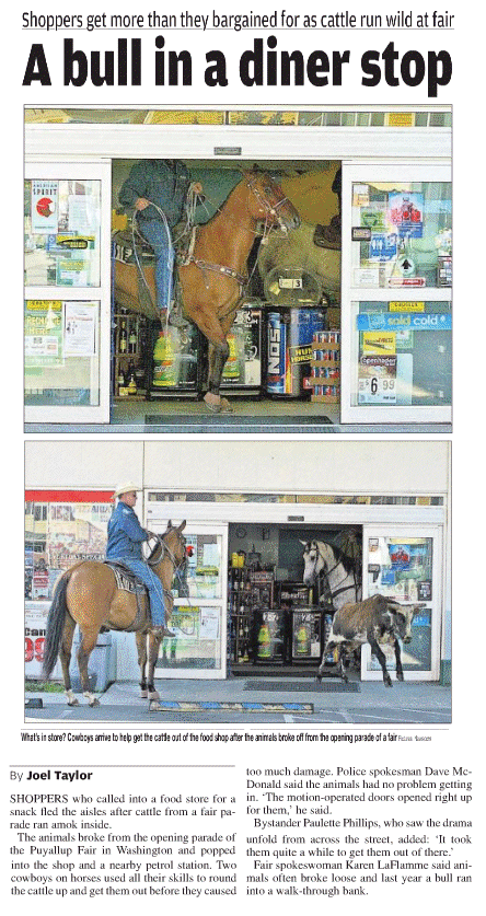 What's in store? Cowboys arrive to help get the cattle out of the food shop afte the animals broke off from the opening parade of the fair.