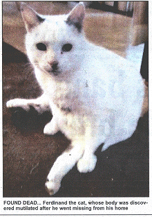 FOUND DEAD... Ferdinand the cat, whose body was discovered mutilated after he went missing from his home