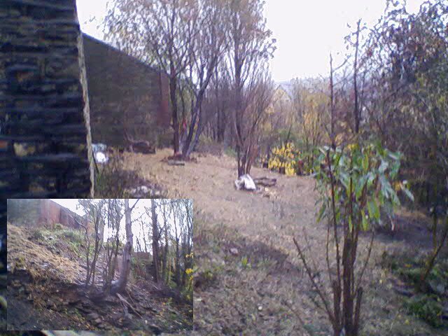 The scene of the fire and surrounding area