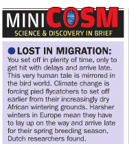 Click for more on migration