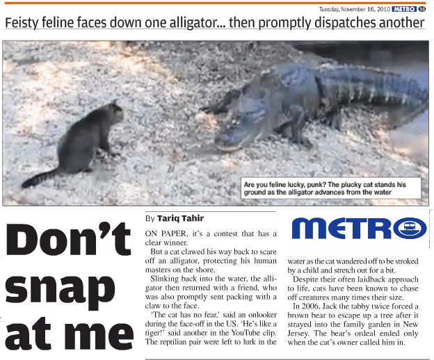 Click for more Crocodile stories