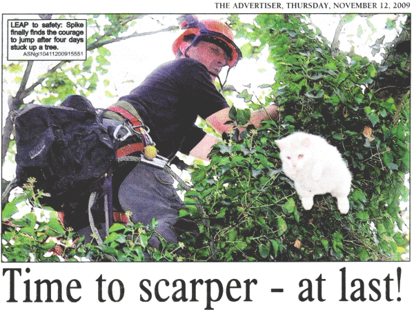 Time to scarper - at last!