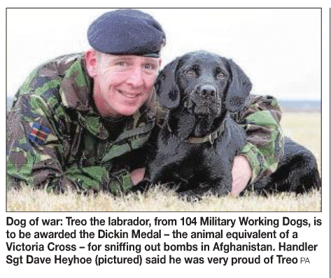 Link to more on the 'illegal' war