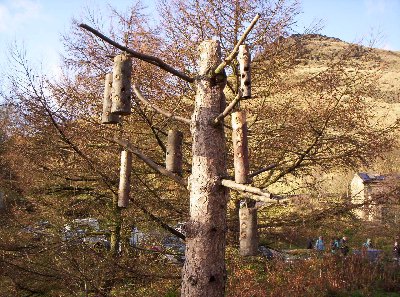 Bird feeders made from logs.