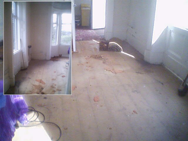 Carpets removed and walls painted.
