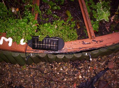 Free solar lights installed around the Herb Tablet.