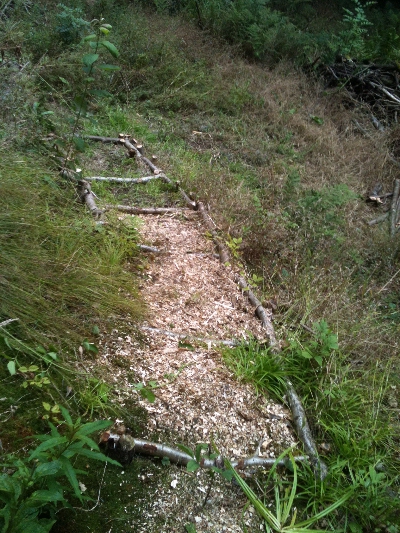 Some of the steps to the rear part of the garden undergoing refurbishment 	to render them safe.