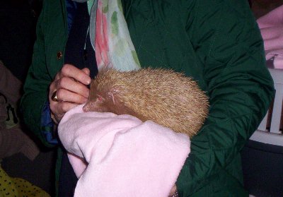 Albino hedgehogs are extremely rare and we were told this could be the only one we would ever see.