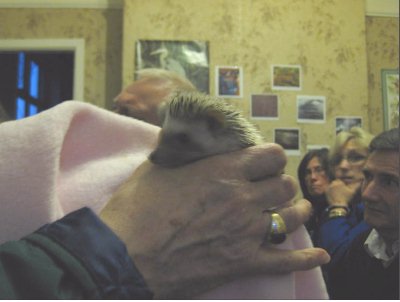 Barbara also had a pygmy hedgehog, originally from South Africa but bred in the pet trade, much to Barbara's dissatisfaction as the pygmy does not do well in the UK.