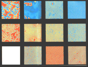 Reaction Diffusion results